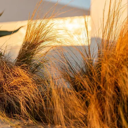 Aelo Mykonos Παραλία Paradise