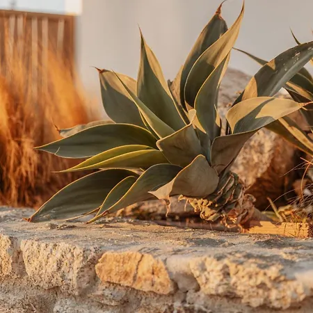 Aelo Mykonos מלון 4*
