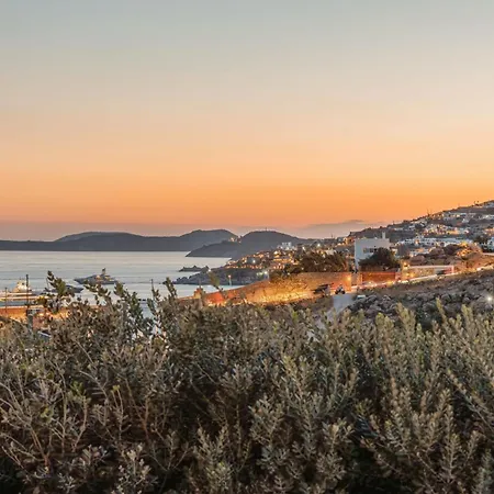 מלון Aelo Mykonos