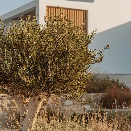 Aelo Mykonos פרדייז ביץ'
