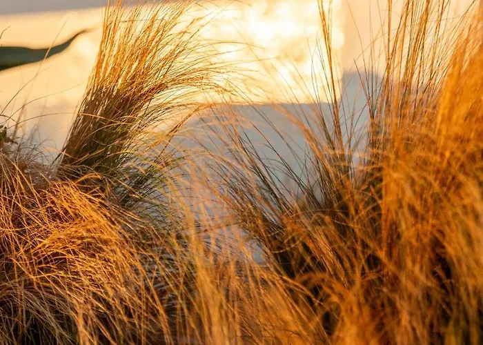 Aelo Mykonos Парадайз-Бич