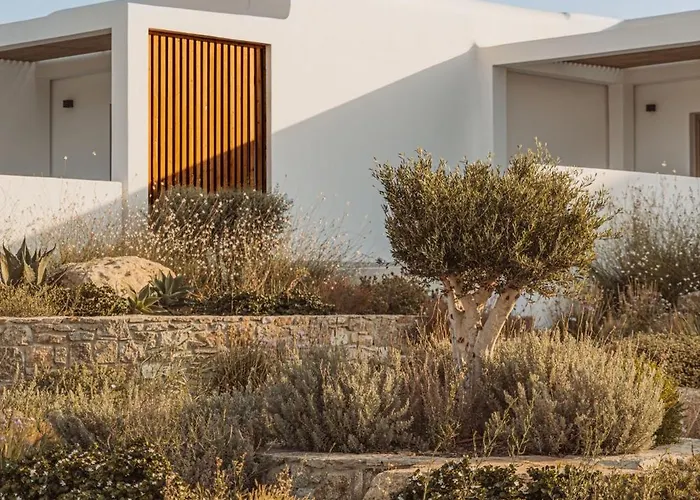 Отель Aelo Mykonos