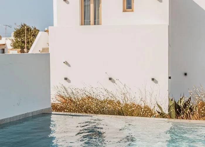 Aelo Mykonos Отель 4*