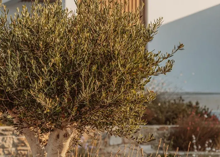 Aelo Mykonos Парадайз-Бич