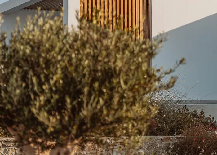 Aelo Mykonos Отель 4*