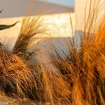 Aelo Mykonos Парадайз-Бич