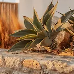Aelo Mykonos Отель 4*