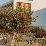 Aelo Mykonos Парадайз-Бич