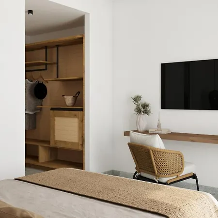 Aelo Mykonos Hotel Paradise Beach (Mykonos)